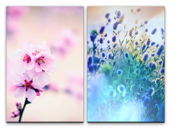 2 Bilder je 60x90cm Blumen Kirschblüten Frühling Blau Zweig Achtsamkeit Sonnenstrahlen