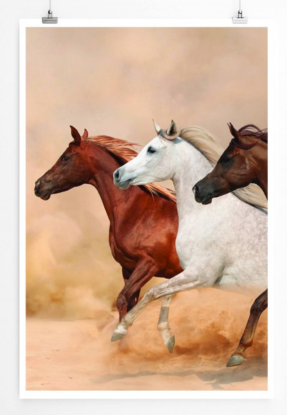Tierfotografie 60x90cm Poster Rennende Pferde