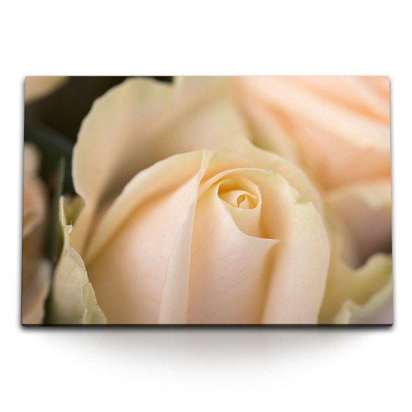 120x80cm Wandbild auf Leinwand Weiße Rose Rosenblüte Makro Fotokunst Blume