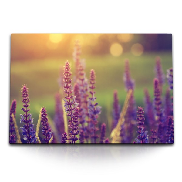 120x80cm Wandbild auf Leinwand Lavendel Sonnenuntergang Sommer Natur Blumen