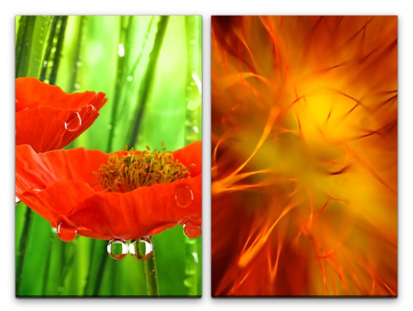 2 Bilder je 60x90cm Blumen Rot Grün Tropfen Nahaufnahme Orange Erfrischend