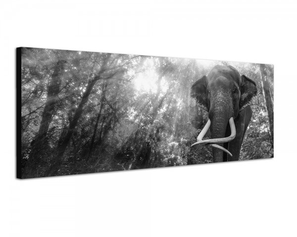 150x50cm Thailand Wald Wasserfall Elefant Sonnenlicht