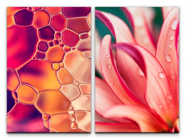 2 Bilder je 60x90cm Blumen Wasserblasen Kunstvoll Farbenfroh Regentropfen Dekorativ Warm