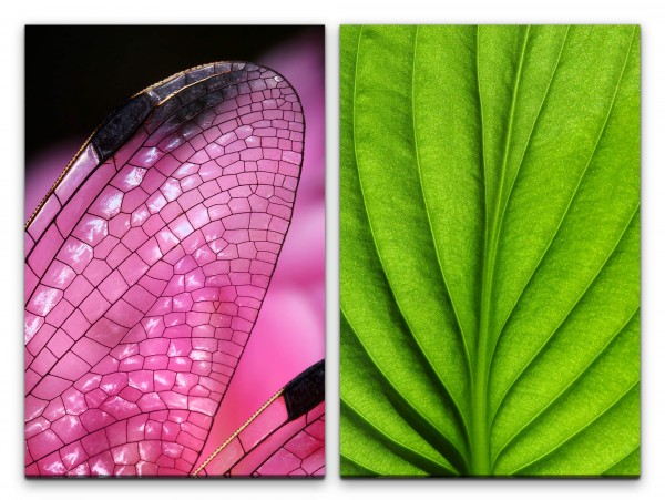 2 Bilder je 60x90cm Libelle Rosa Flügel Blattgrün Blattadern Dekorativ Makrofotografie