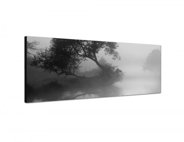 150x50cm Fluss Baum Nebel Morgendämmerung