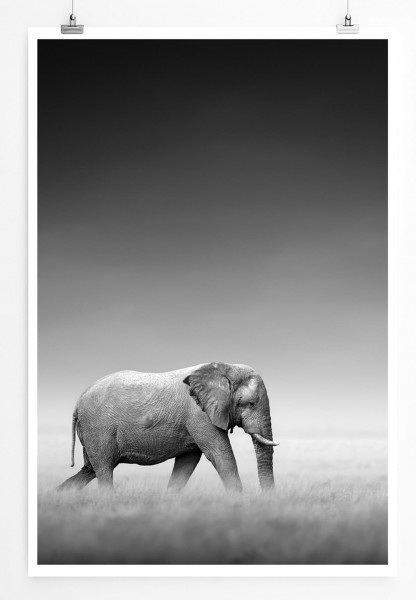 60x90cm Tierfotografie Poster Elefant und Zebra 