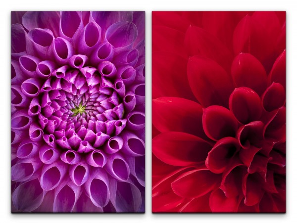 2 Bilder je 60x90cm Dahlie rote Blume Lila Sommer Farbenfroh Makrofotografie Warm