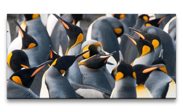 Leinwandbild 120x60cm Pinguine Kaiserpinguine Pinguinkolonie Natur Schön
