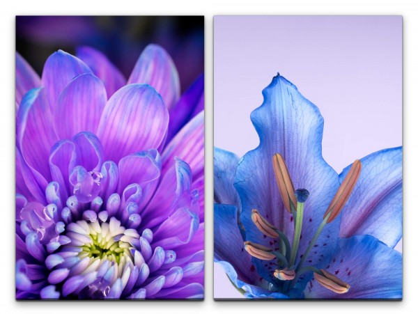 2 Bilder je 60x90cm Lilie Zinnie Blumen Blüten Farbenfroh Sommer Dekorativ