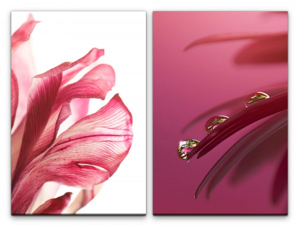 2 Bilder je 60x90cm Orchidee rote Blüte Rosa Blumen Tropfen Beruhigend Makrofotografie