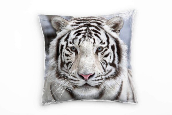 Tiere, schwarz, weiß, grau, weißer Bengaltiger, Nah Deko Kissen 40x40cm für Couch Sofa Lounge Zierki