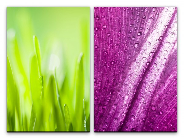 2 Bilder je 60x90cm Gras Grashalme Wassertropfen Tropfen Violett Grün Makrofotografie