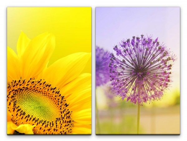 2 Bilder je 60x90cm Sonnenblume Pusteblume Gelb Sommer Nahaufnahme Blumen Lila