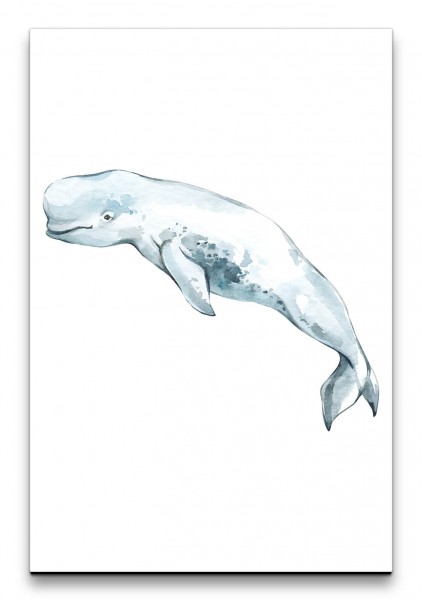 Weißwal Wal Aquarell Wasserfarben Kunstvoll Hell Dekorativ