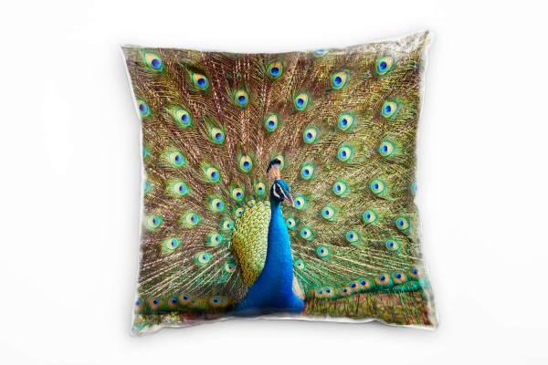 Tiere, Pfau, Federn, braun, blau, grün Deko Kissen 40x40cm für Couch Sofa Lounge Zierkissen