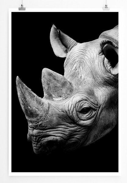 90x60cm Poster Tierfotografie Nashorn Porträt schwarz weiß