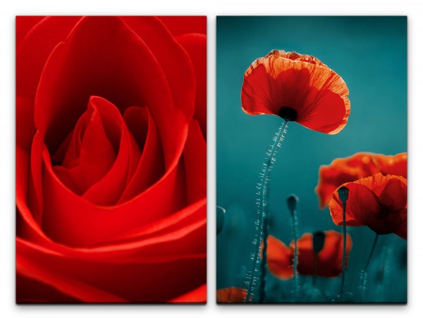 2 Bilder je 60x90cm Rose Mohnblumen rote Blüten Romantisch Blumen Fotokunst Makrofotografie