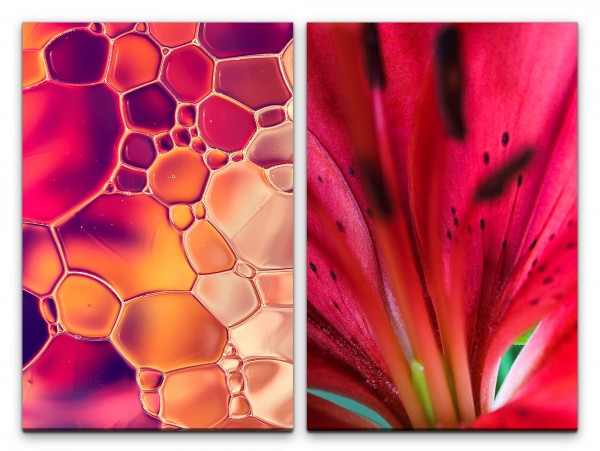 2 Bilder je 60x90cm Abstrakt Rot Wasserblasen Dekorativ Blüte Fokus Makrofotografie