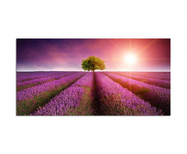 Leinwandbild 120x80cm auf Keilrahmen Lavendelfeld,Wolken,Sonnestrahlen,lila