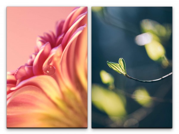2 Bilder je 60x90cm Blumen Blüte Wassertropfen Zweig Zart Sanft Beruhigend
