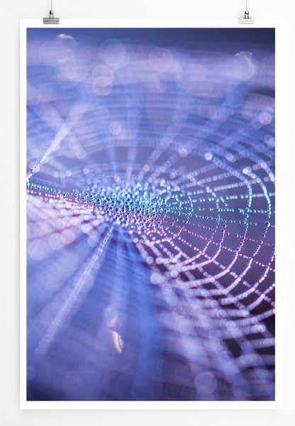 60x90cm Poster Künstlerische Fotografie  Spinnennetz mit Tau