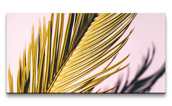 Leinwandbild 120x60cm Nahaufnahme Pflanze Blatt Grün Dekorativ Fotokunst