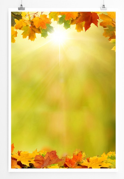 90x60cm Poster Naturfotografie Herbstlaub im Sonnenschein 