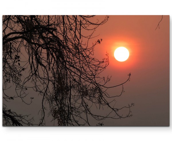 Silhouette eines Baumes im Sonnenuntergang - Leinwandbild