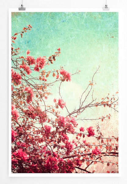 60x90cm Naturfotografie Poster Vintage Kirschblüten
