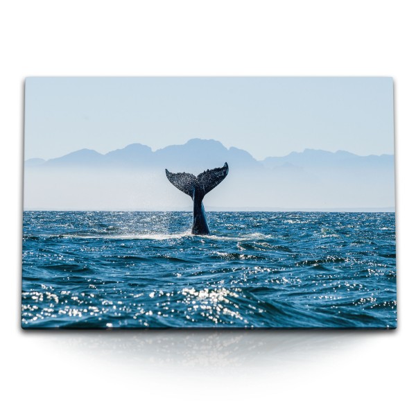 120x80cm Wandbild auf Leinwand Walflosse Wal Meer Ozean Blau Grauwal