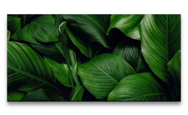 Leinwandbild 120x60cm Grüne Blätter Fotokunst Natur Schön Dekorativ
