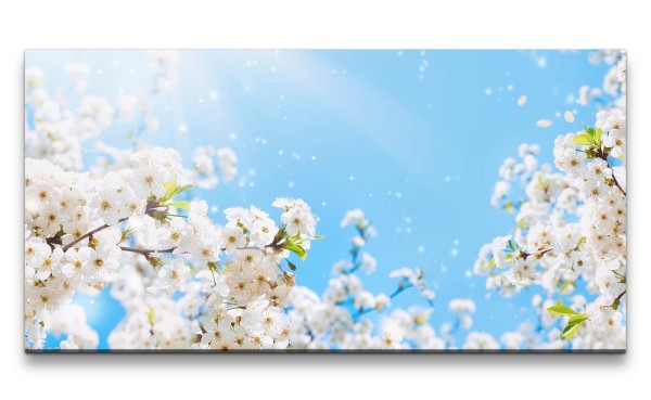 Leinwandbild 120x60cm Baumblüte Frühling Frühjahr weiße Blüten Sonnenstrahl
