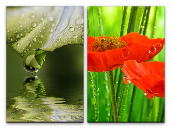 2 Bilder je 60x90cm Mohnblume Grün Labsal Wassertropfen See Blüten Makro