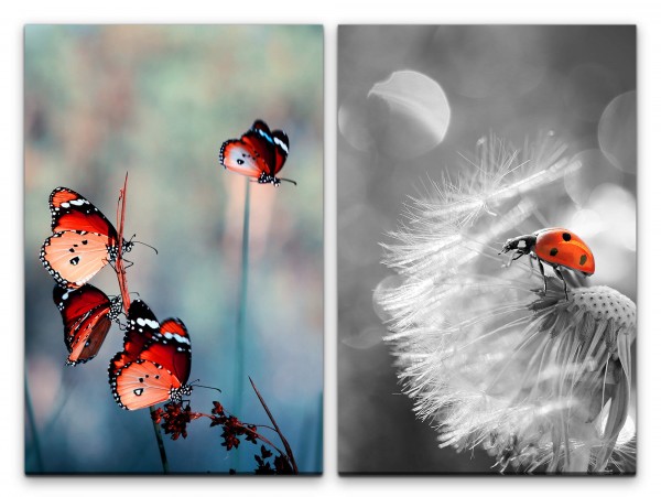 2 Bilder je 60x90cm Schmetterlinge Sommer Pusteblume Marienkäfer Glückskäfer Fotokunst Makrofotograf