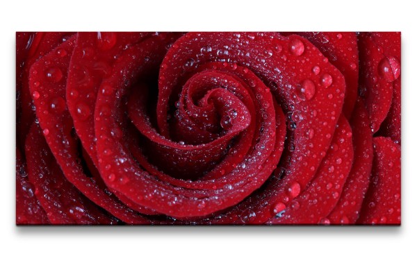 Leinwandbild 120x60cm Rote Rose Blüte Romantisch Liebe Leidenschaft Wassertropfen