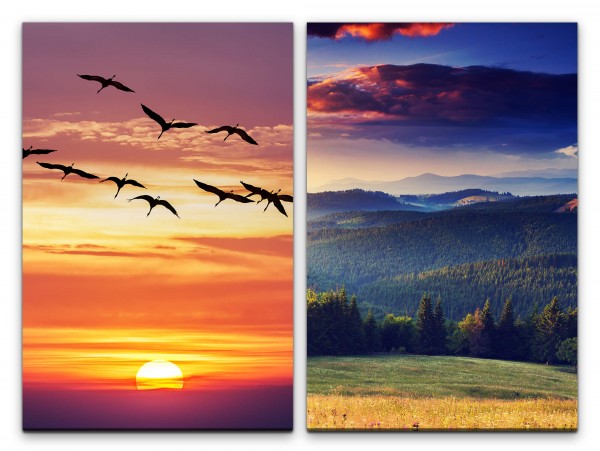 2 Bilder je 60x90cm Vogelschwarm fliegende Vögel Sonnenuntergang Tannenwald roter Himmel Berge Natur