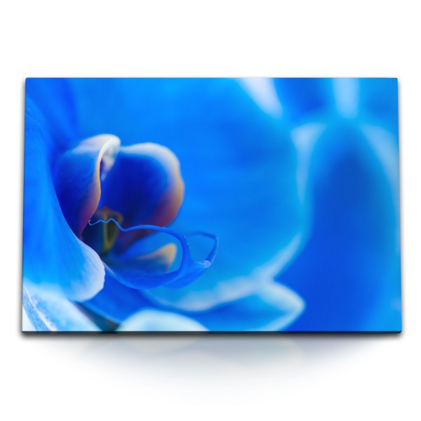 120x80cm Wandbild auf Leinwand Makrofotografie blaue Orchidee Blume Blüte