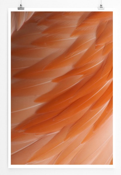 60x90cm Künstlerische Fotografie Poster Orange Federn im Detail