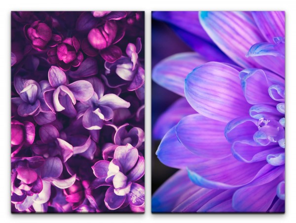 2 Bilder je 60x90cm Orchideen Blüten Sommer Duftend Dekorativ Blau Feminin