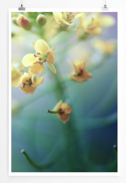 60x90cm Poster Naturfotografie  Gelbe Orchideen