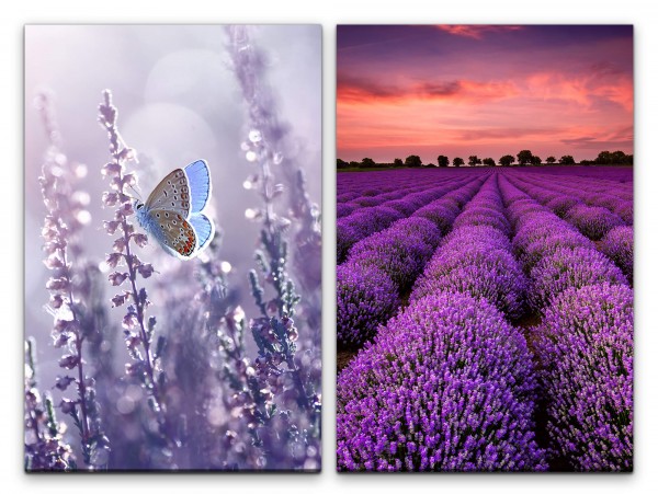 2 Bilder je 60x90cm Sommer Schmetterling Lavendel Lavendelfeld rosa Wolken Horizont Natur