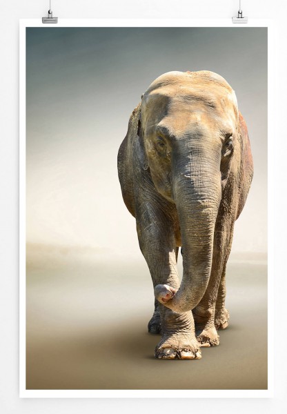 60x90cm Tierfotografie Poster Hochwertige Aufnahme eines Elefanten