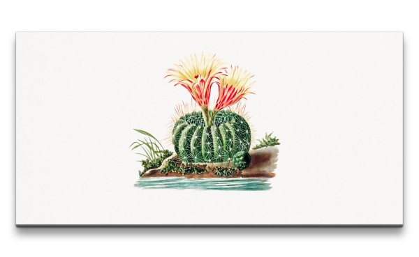 Remaster 120x60cm Illustration Kaktus mit Blüte Kunstvoll Dekorativ