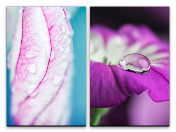 2 Bilder je 60x90cm Blume Blüten Türkis Blau Violett Wassertropfen Makrofotografie