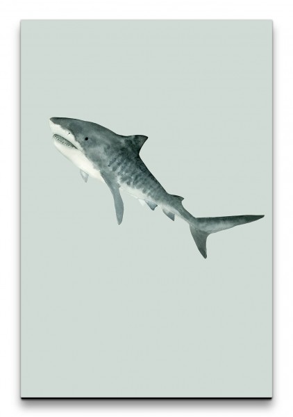 Weißer Hai Fisch Wasserfarben Aquarell Kunstvoll Grau