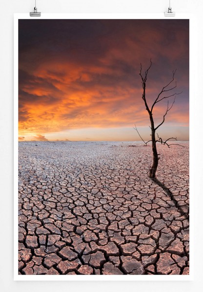 60x90cm Landschaftsfotografie Poster Einsamer Baum auf verdorrter Erde