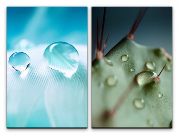2 Bilder je 60x90cm Feder Weiß Kaktus Wassertropfen Tropfen Fotokunst Makrofotografie