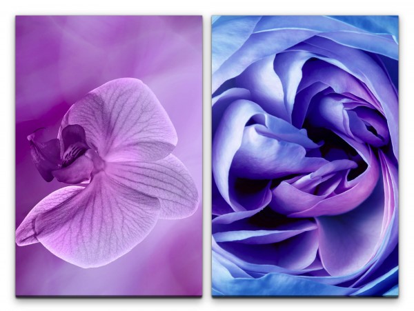 2 Bilder je 60x90cm Orchidee Blüte Blau Rose Blumen Farbenfroh Schön