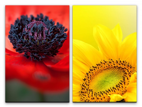 2 Bilder je 60x90cm Sonnenblume Gelb Mohnblume Blüte Blumen Makro Rot