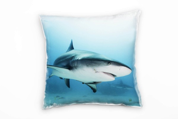Tiere, blau, weiß, Hai, Unterwasser Deko Kissen 40x40cm für Couch Sofa Lounge Zierkissen
